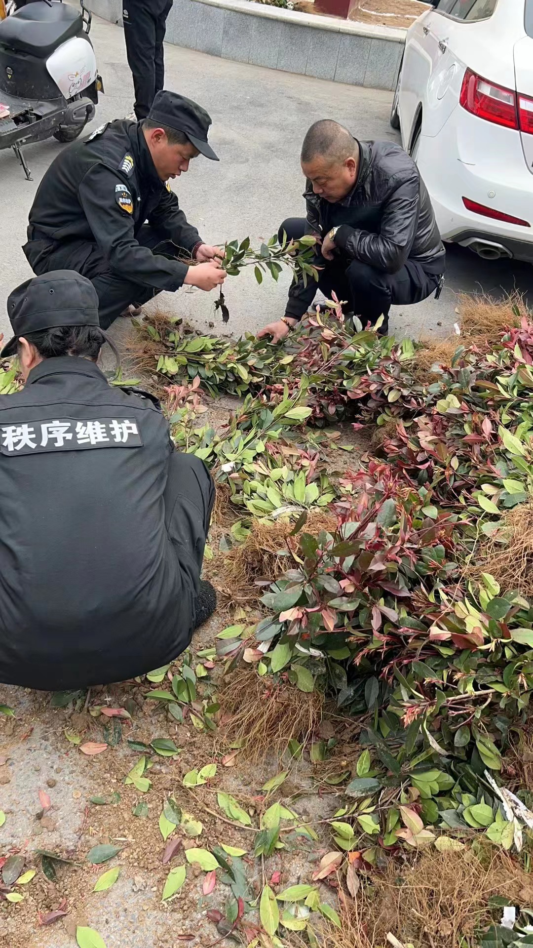 1微信圖片_20230320084809.jpg