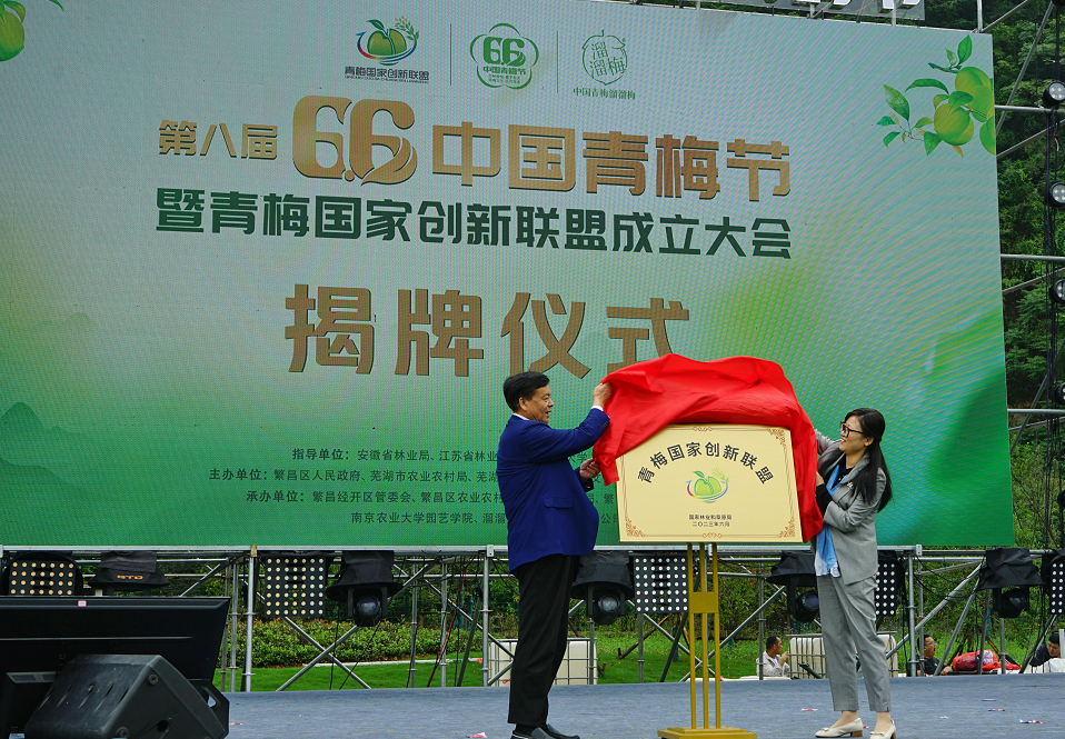 QQ截圖20230607162931.png