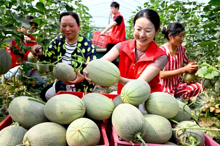 QQ截圖20240618143828.jpg