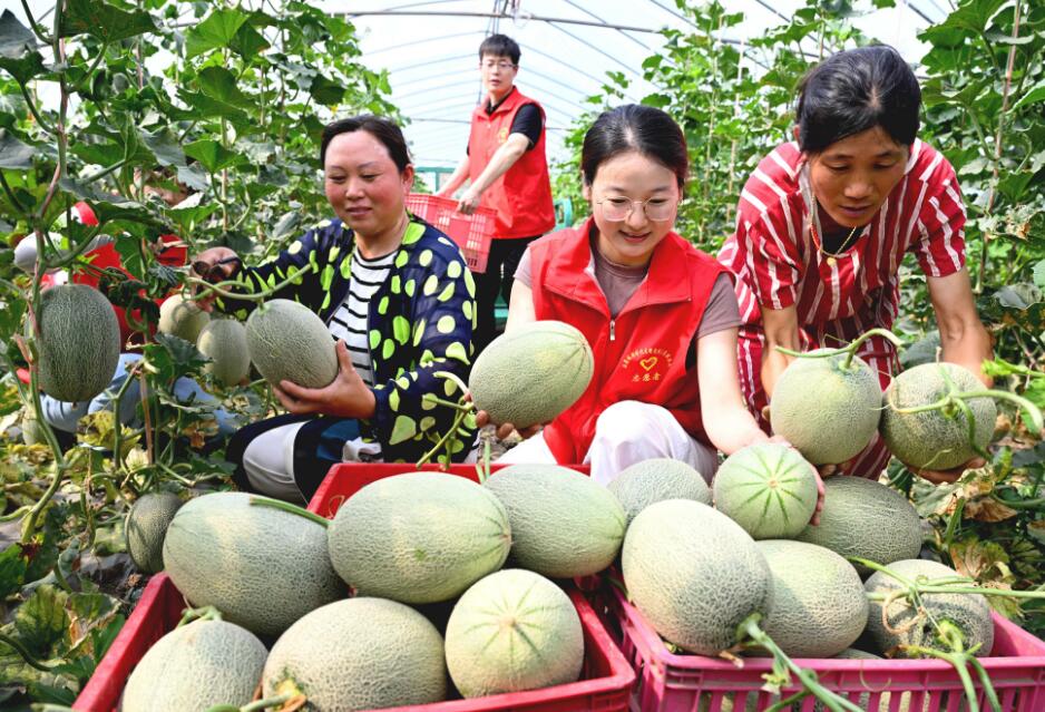 QQ截圖20240618143852.jpg