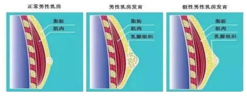 微信圖片_20240729163729.jpg
