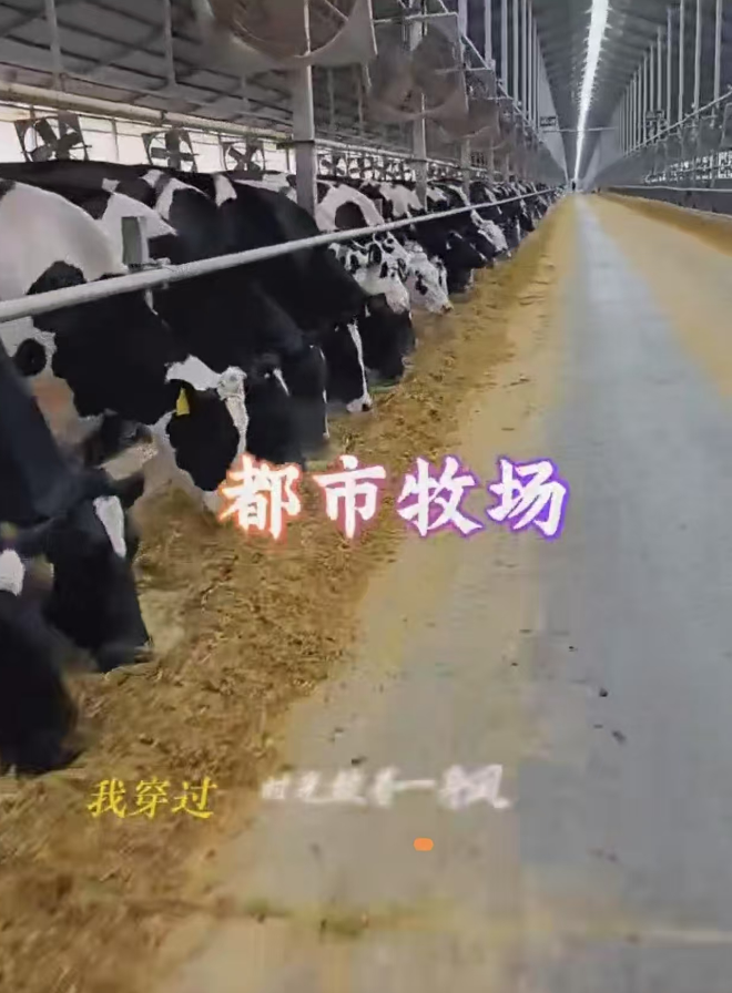 微信圖片_20250403141501.png